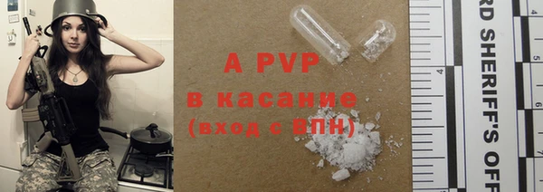 крисы Аркадак