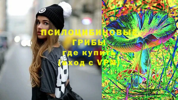 крисы Аркадак