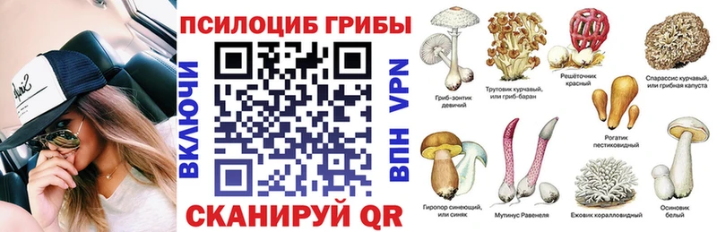 Галлюциногенные грибы Cubensis  купить наркоту  Темников 