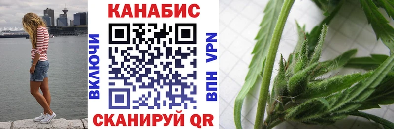 купить   Темников  Шишки марихуана VHQ 